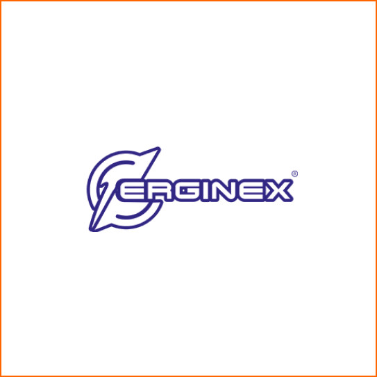 ERGINEX